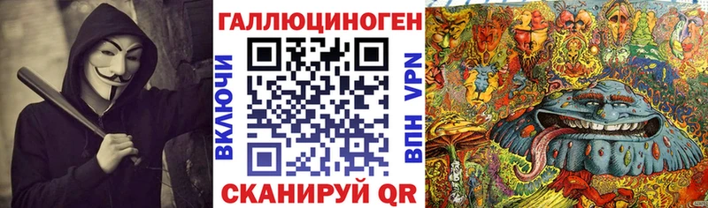 kraken онион Байкальск Галлюциногенные грибы Psilocybe